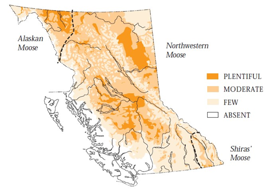 distribution and abundance of moose in bc government of bc