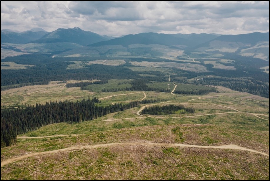 Clearcut forests in the Hart Ranges The Narwhal