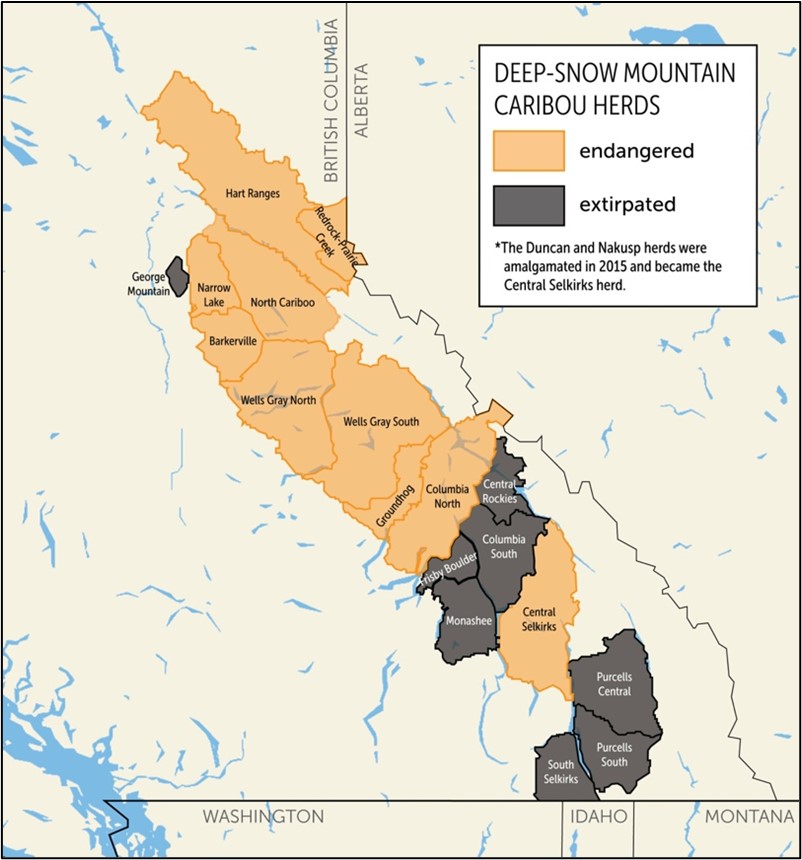 deep snow mountain caribou herds map